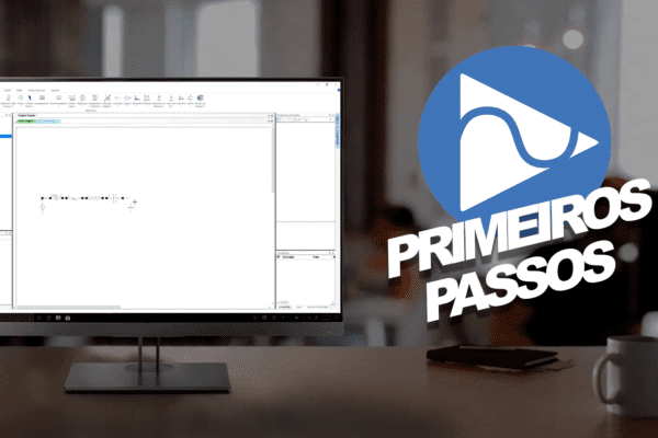 pssimul primeiros passos